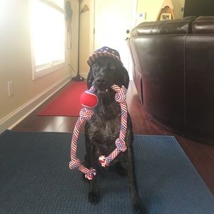 Meet your Posher, Amber